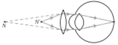 NCERT Exemplar Solutions Class 10 Science Human Eye and Colourful World