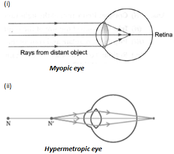 NCERT Exemplar Solutions Class 10 Science Human Eye and Colourful World