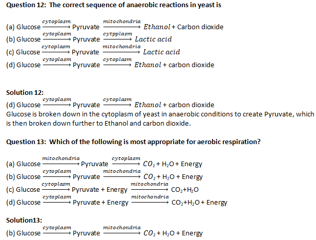 NCERT Exemplar Solutions Class 10 Science Life Processes