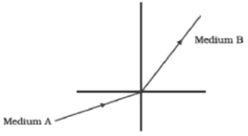 NCERT Exemplar Solutions Class 10 Science Light Reflection and Refraction