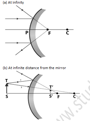 NCERT Exemplar Solutions Class 10 Science Light Reflection and Refraction