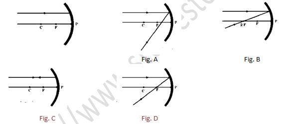 NCERT Exemplar Solutions Class 10 Science Light Reflection and Refraction