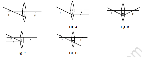 NCERT Exemplar Solutions Class 10 Science Light Reflection and Refraction