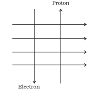 NCERT Exemplar Solutions Class 10 Science Magnetic Effects of Electric Current