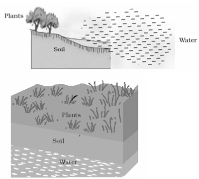 NCERT Exemplar Solutions Class 10 Science Management of Natural Resources