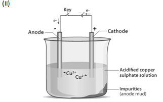 NCERT Exemplar Solutions Class 10 Science Metals And Non-Metals