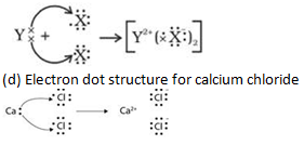 NCERT Exemplar Solutions Class 10 Science Periodic Classification of Elements