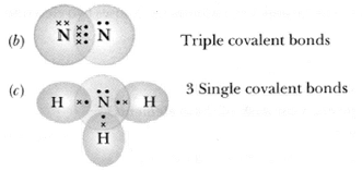 NCERT Exemplar Solutions Class 10 Science Periodic Classification of Elements