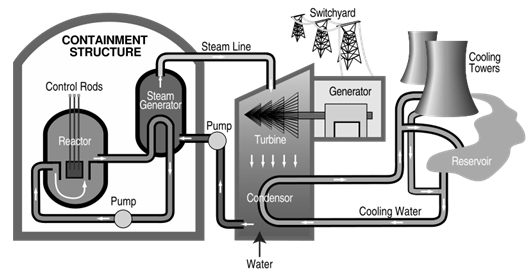 NCERT Exemplar Solutions Class 10 Science Sources of Energy