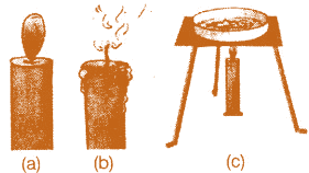 NCERT Exemplar Solutions Class 6 Science Changes around us