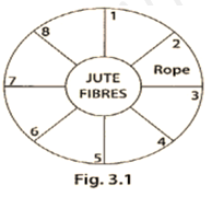 NCERT Exemplar Solutions Class 6 Science Fibre to Fabric-3