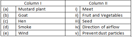 NCERT Exemplar Solutions Class 6 Science Food Where Does It Come From-