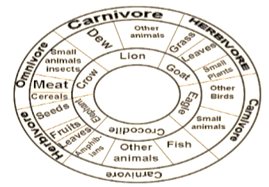 NCERT Exemplar Solutions Class 6 Science Food Where Does It Come From-A3