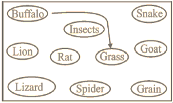 NCERT Exemplar Solutions Class 6 Science Food Where Does It Come From-A4