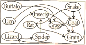 NCERT Exemplar Solutions Class 6 Science Food Where Does It Come From-A5