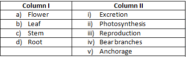 NCERT Exemplar Solutions Class 6 Science Getting to Know Plants