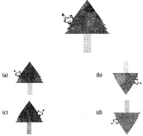 NCERT Exemplar Solutions Class 6 Science Light Shadows and Reflection-1