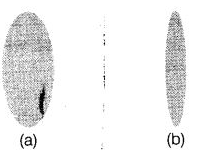 NCERT Exemplar Solutions Class 6 Science Light Shadows and Reflection-7