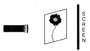 NCERT Exemplar Solutions Class 6 Science Light Shadows and Reflection-8