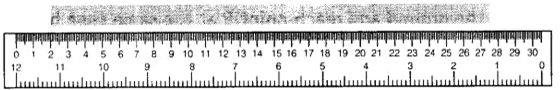 NCERT Exemplar Solutions Class 6 Science Motion and Measurement of Distances-