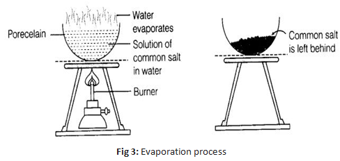 NCERT Exemplar Solutions Class 6 Science Separation of Substances-3