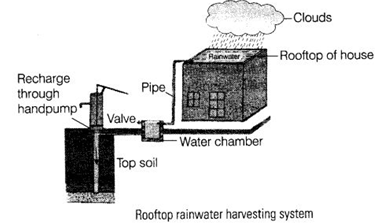 NCERT Exemplar Solutions Class 6 Science Water-1