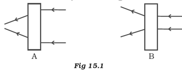 NCERT Exemplar Solutions Class 7 Science Light