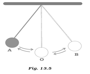 NCERT Exemplar Solutions Class 7 Science Motion and Time-14