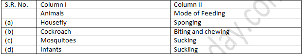 NCERT Exemplar Solutions Class 7 Science Nutrition in Animals-