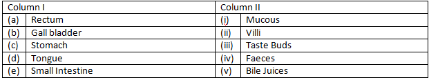 NCERT Exemplar Solutions Class 7 Science Nutrition in Animals-1