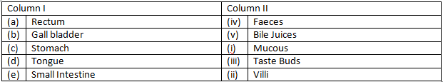 NCERT Exemplar Solutions Class 7 Science Nutrition in Animals-2