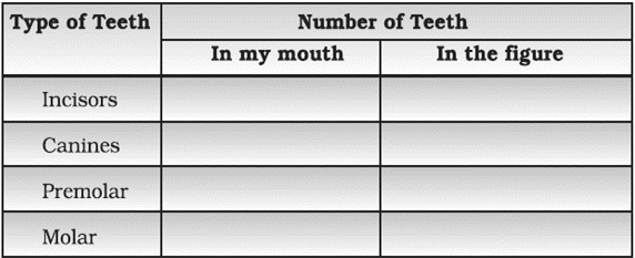 NCERT Exemplar Solutions Class 7 Science Nutrition in Animals-8