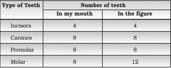 NCERT Exemplar Solutions Class 7 Science Nutrition in Animals-9