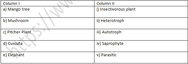 NCERT Exemplar Solutions Class 7 Science Nutrition in Plants-1