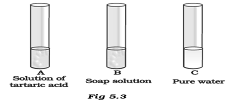 NCERT Exemplar Solutions Class 7 Science Nutrition in Plants-10