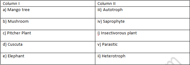 NCERT Exemplar Solutions Class 7 Science Nutrition in Plants-2