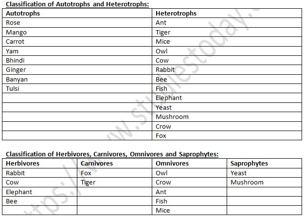 NCERT Exemplar Solutions Class 7 Science Nutrition in Plants-6