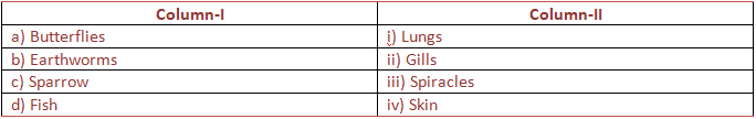 NCERT Exemplar Solutions Class 7 Science Respiration in Organisms-3