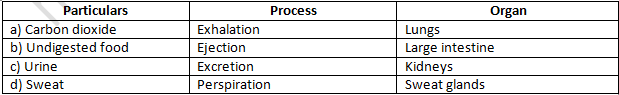 NCERT Exemplar Solutions Class 7 Science Transportation in Animals and Plants-1