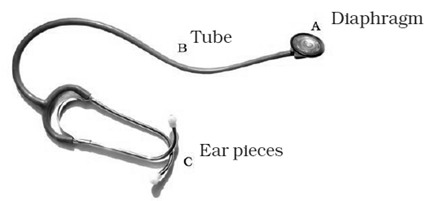 NCERT Exemplar Solutions Class 7 Science Transportation in Animals and Plants-3