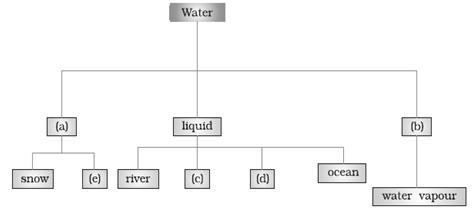 NCERT Exemplar Solutions Class 7 Science Water A Precious Resource-5