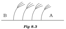 NCERT Exemplar Solutions Class 7 Science Wind Storm and Cyclone-