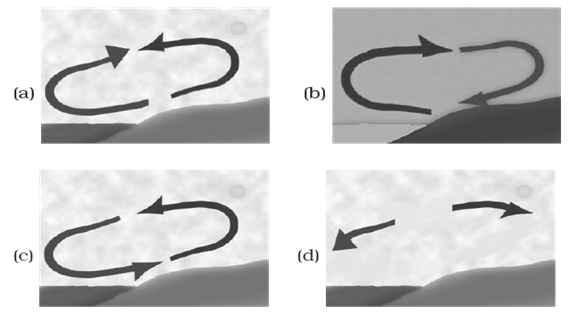 NCERT Exemplar Solutions Class 7 Science Wind Storm and Cyclone