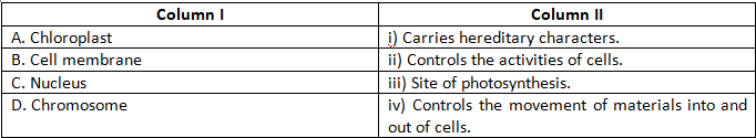 NCERT Exemplar Solutions Class 8 Science Cell Structure and Functions