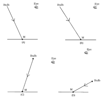 NCERT Exemplar Solutions Class 8 Science Light