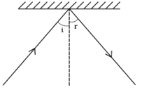 NCERT Exemplar Solutions Class 8 Science Light-