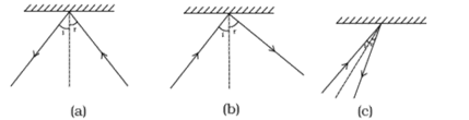 NCERT Exemplar Solutions Class 8 Science Light