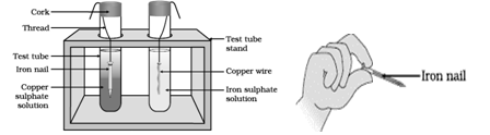 NCERT Exemplar Solutions Class 8 Science Materials Metals and Non Metals