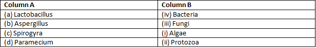 NCERT Exemplar Solutions Class 8 Science Micro organisms Friend and Foe