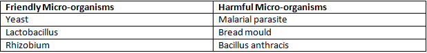 NCERT Exemplar Solutions Class 8 Science Micro organisms Friend and Foe